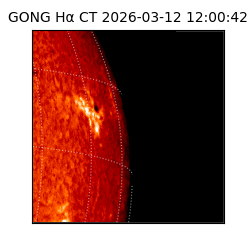 gong - 2026-03-12T12:00:42