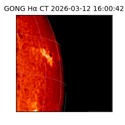 gong - 2026-03-12T16:00:42