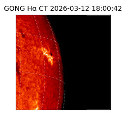 gong - 2026-03-12T18:00:42