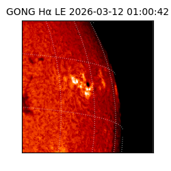 gong - 2026-03-12T01:00:42
