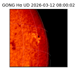 gong - 2026-03-12T08:00:02