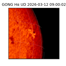 gong - 2026-03-12T09:00:02
