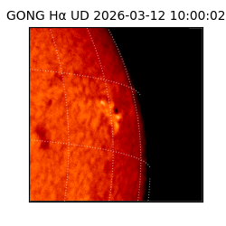 gong - 2026-03-12T10:00:02