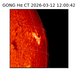 gong - 2026-03-12T12:00:42