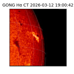 gong - 2026-03-12T19:00:42