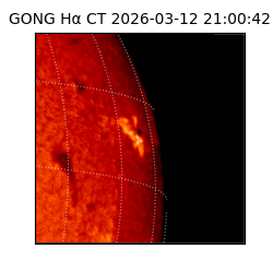 gong - 2026-03-12T21:00:42