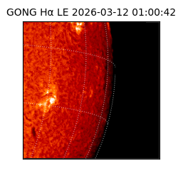 gong - 2026-03-12T01:00:42
