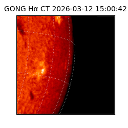 gong - 2026-03-12T15:00:42