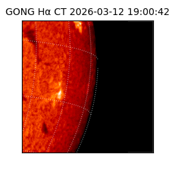 gong - 2026-03-12T19:00:42