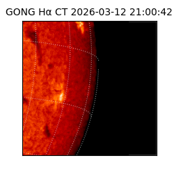 gong - 2026-03-12T21:00:42