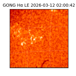 gong - 2026-03-12T02:00:42