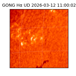 gong - 2026-03-12T11:00:02