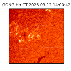 gong - 2026-03-12T14:00:42