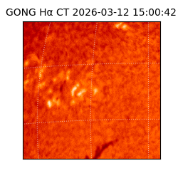 gong - 2026-03-12T15:00:42