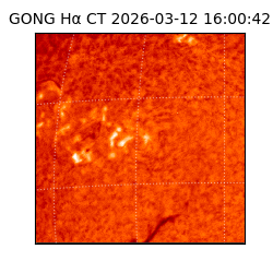 gong - 2026-03-12T16:00:42