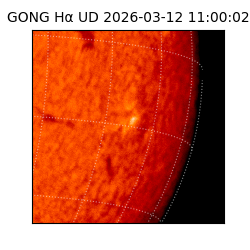 gong - 2026-03-12T11:00:02