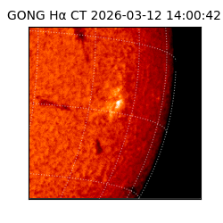 gong - 2026-03-12T14:00:42