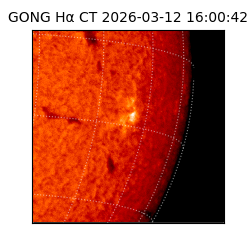 gong - 2026-03-12T16:00:42