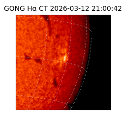 gong - 2026-03-12T21:00:42