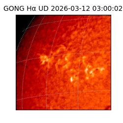 gong - 2026-03-12T03:00:02