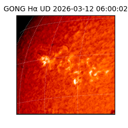 gong - 2026-03-12T06:00:02