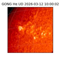 gong - 2026-03-12T10:00:02