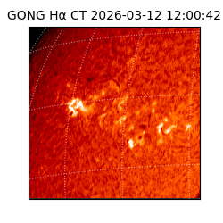 gong - 2026-03-12T12:00:42