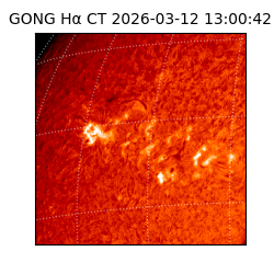 gong - 2026-03-12T13:00:42