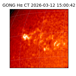 gong - 2026-03-12T15:00:42