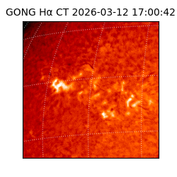 gong - 2026-03-12T17:00:42