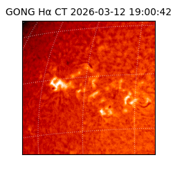 gong - 2026-03-12T19:00:42