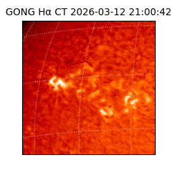 gong - 2026-03-12T21:00:42