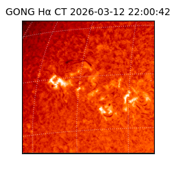 gong - 2026-03-12T22:00:42