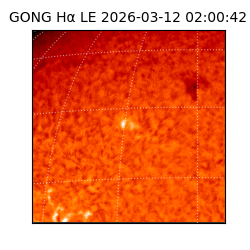 gong - 2026-03-12T02:00:42