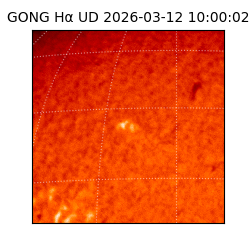 gong - 2026-03-12T10:00:02