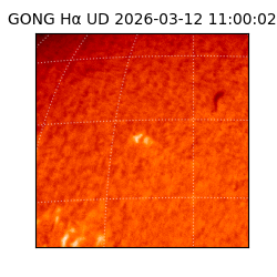 gong - 2026-03-12T11:00:02