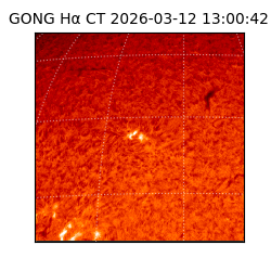 gong - 2026-03-12T13:00:42