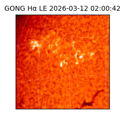 gong - 2026-03-12T02:00:42