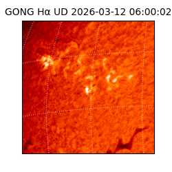 gong - 2026-03-12T06:00:02