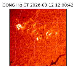 gong - 2026-03-12T12:00:42