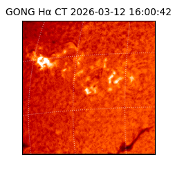 gong - 2026-03-12T16:00:42