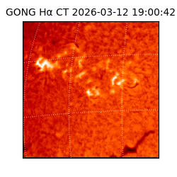 gong - 2026-03-12T19:00:42