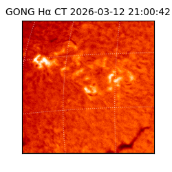 gong - 2026-03-12T21:00:42