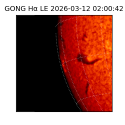 gong - 2026-03-12T02:00:42