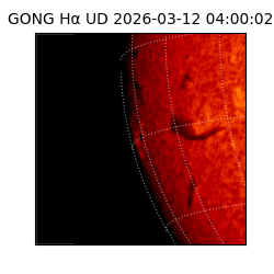 gong - 2026-03-12T04:00:02