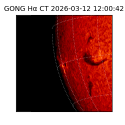 gong - 2026-03-12T12:00:42