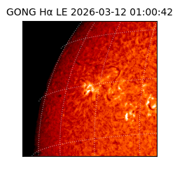 gong - 2026-03-12T01:00:42
