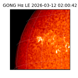 gong - 2026-03-12T02:00:42