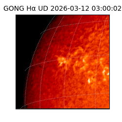 gong - 2026-03-12T03:00:02