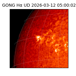 gong - 2026-03-12T05:00:02